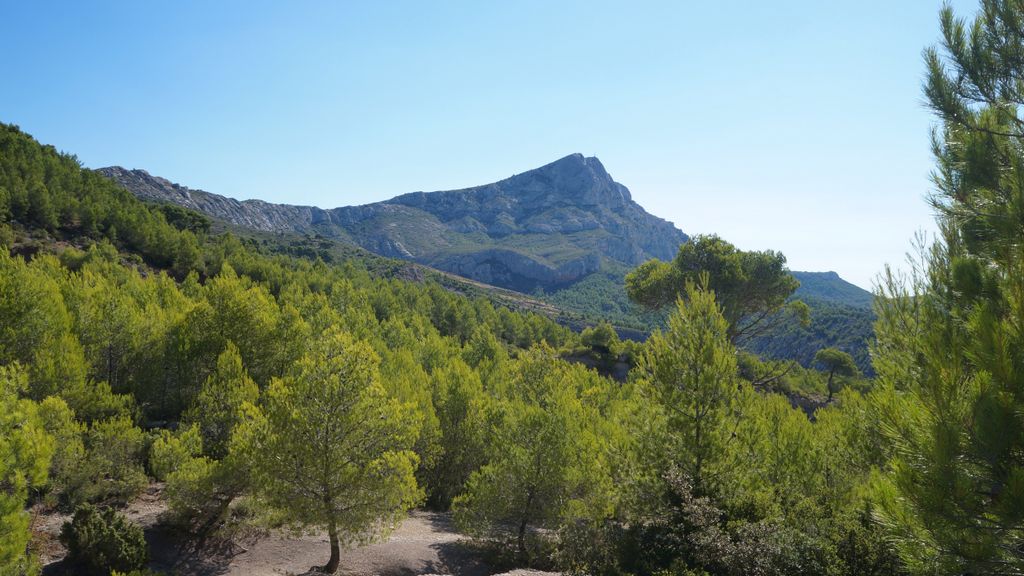 Late summer on the slopes of the Sainte Victoire, Aix-en-Provence