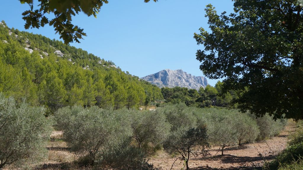 Late summer on the slopes of the Sainte Victoire, Aix-en-Provence