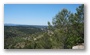 In the forest on the side of the St Victoire, Aix-en-Provence