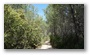 In the forest on the side of the St Victoire, Aix-en-Provence