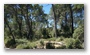 bIn the forest on the side of the St Victoire, Aix-en-Provence