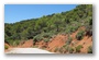 Forest on the slopes of the St Victoire mountain, by le Tholonet, nearby Aix-en-Provence