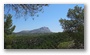 Forest on the slopes of the St Victoire mountain, by le Tholonet, nearby Aix-en-Provence