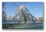 Winter in Beatrixpark, Amsterdam