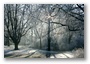 Winter in Beatrixpark, Amsterdam