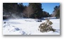 Arnold Arboretum, Boston, on a beautiful winter day