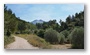 In the forest around the St. Victoire, Aix-en-Provence