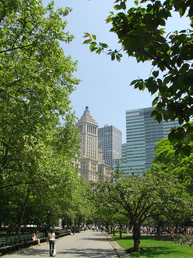 dsc01120.jpg