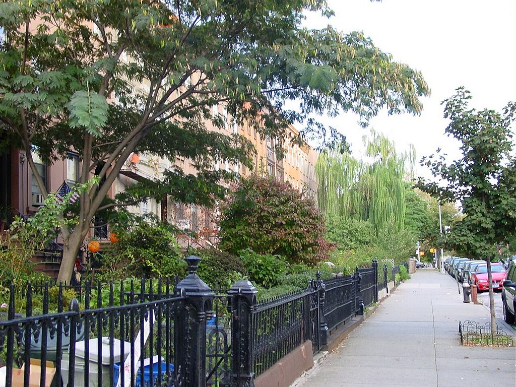 dsc01802.jpg