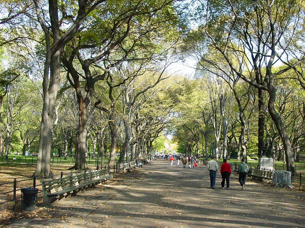 dsc01806.jpg
