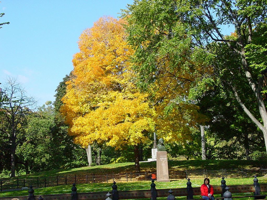 dsc01807.jpg
