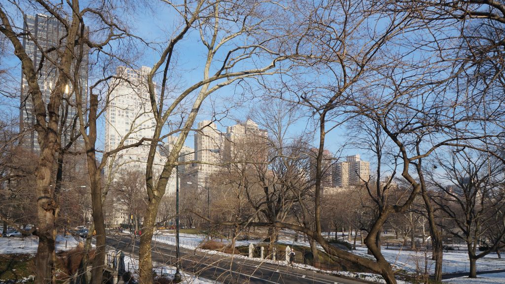 View from Central Park, New York