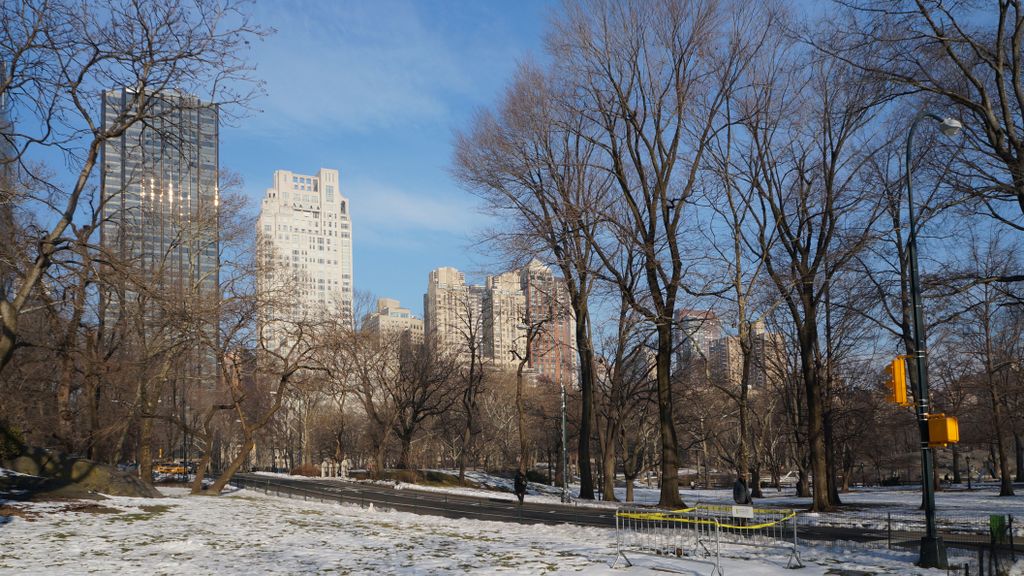 View from Central Park, New York