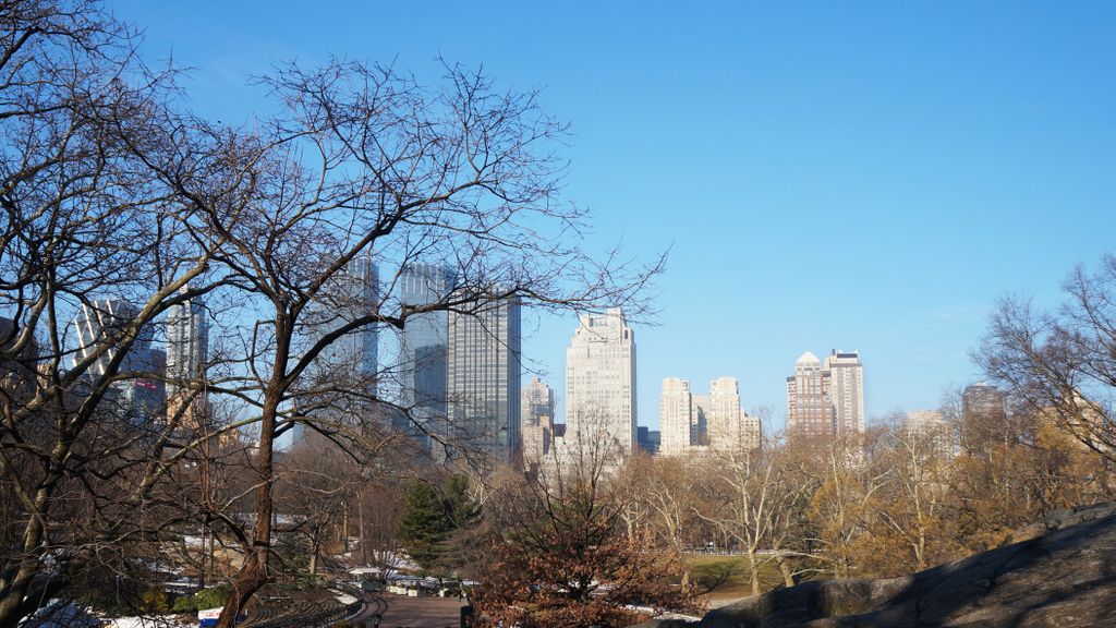 View from Central Park, New York