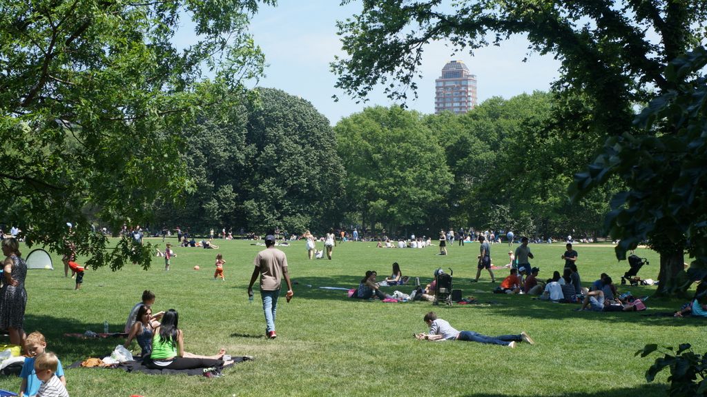 In Central Park, New York