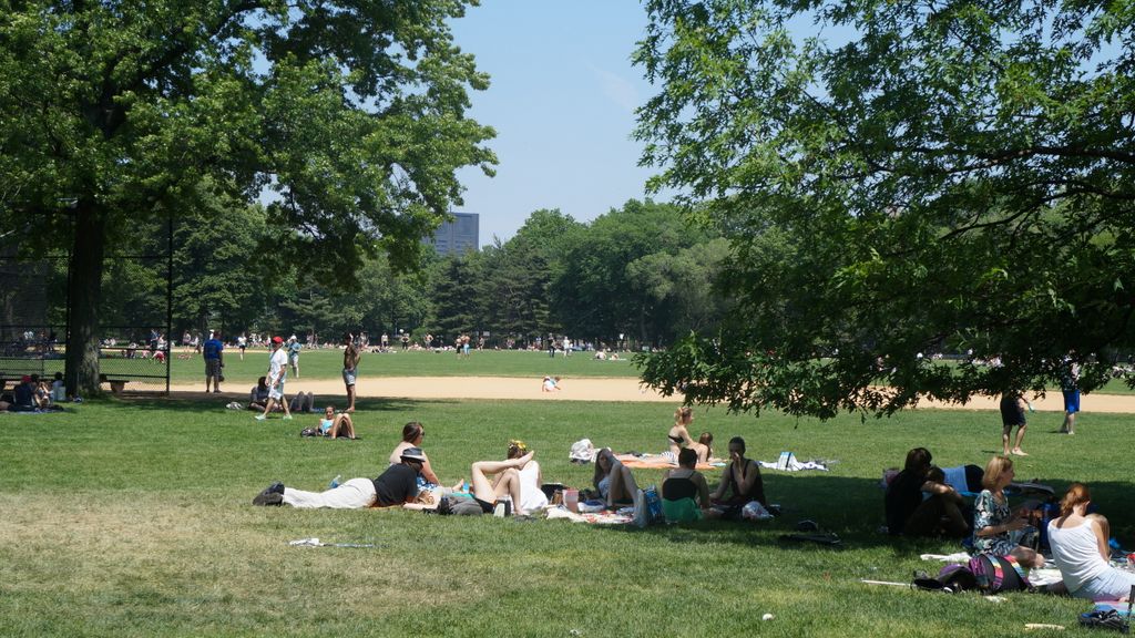 In Central Park, New York
