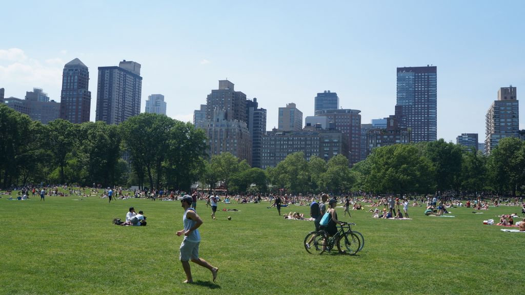 In Central Park, New York