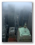 dsc01240.jpg