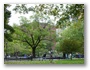 dsc01769.jpg