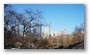 View from Central Park, New York