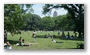 In Central Park, New York