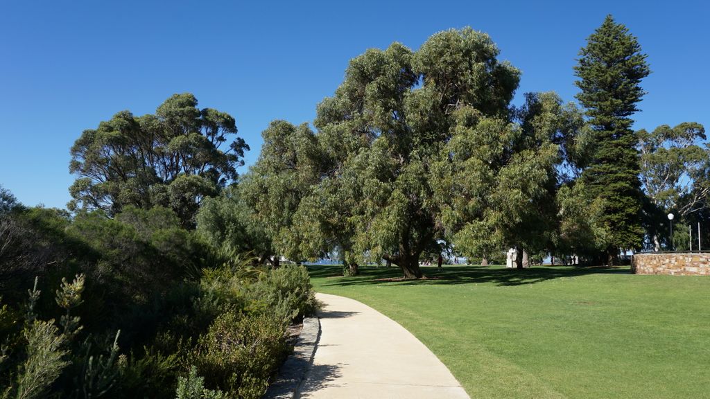 King's Park, Perth