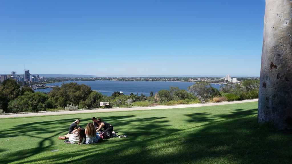 King's Park, Perth