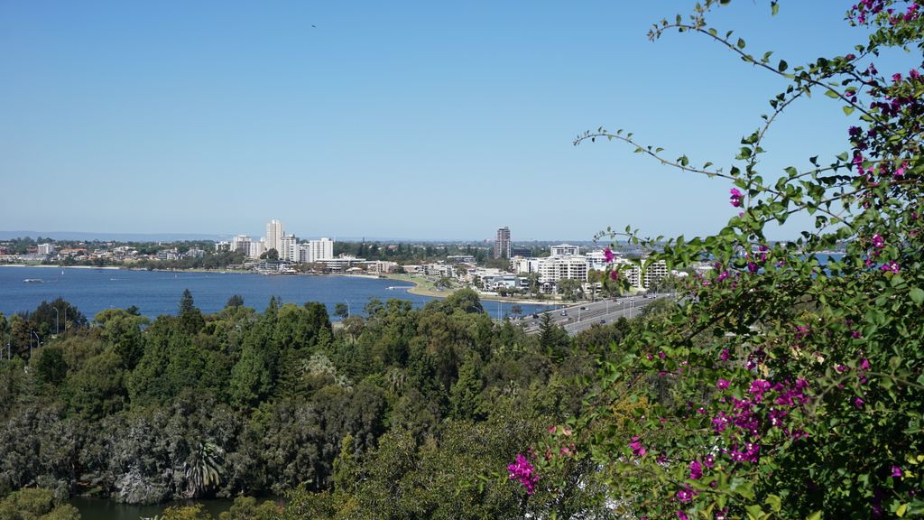 King's Park, Perth