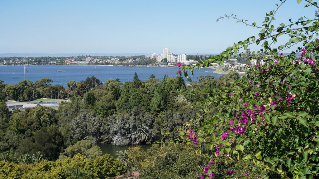 Going down from King's' Park, Perth