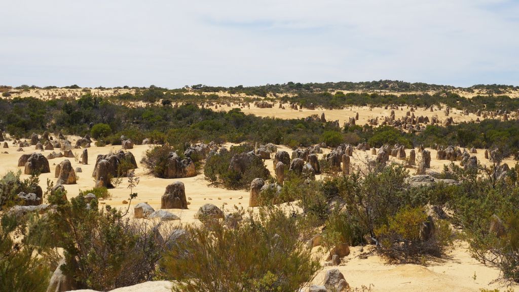 The Pinnacles, Nambung National Park, north of Perth