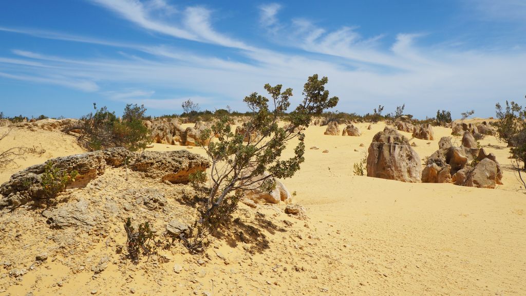 The Pinnacles, Nambung National Park, north of Perth