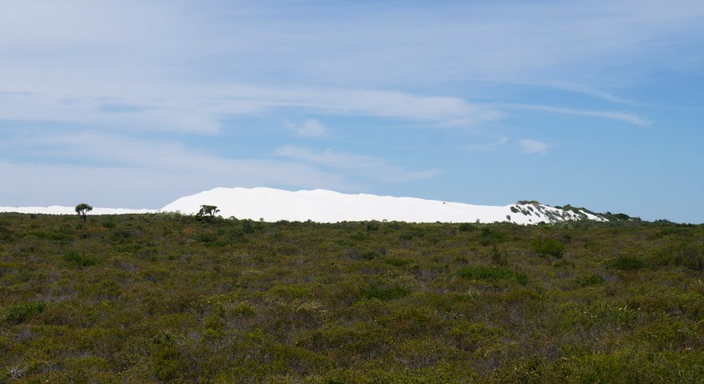 The bush north of Perth, Australia