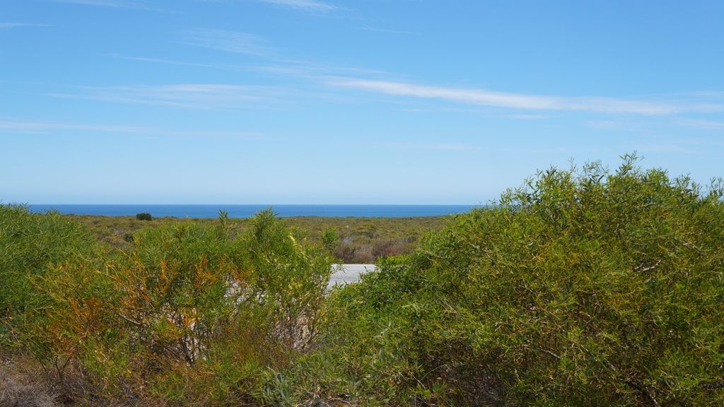 The bush north of Perth, Australia