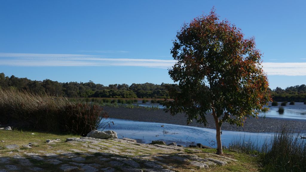 Lake Wagardu, Yanchep National Park, north of Perth