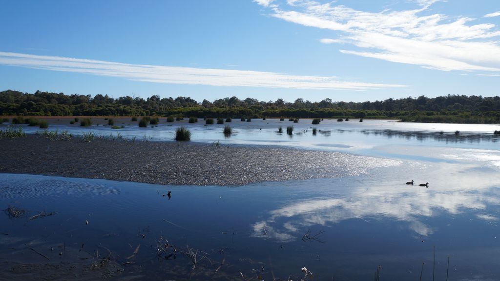 Lake Wagardu, Yanchep National Park, north of Perth