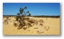 The Pinnacles, Nambung National Park, north of Perth