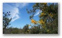 Nambung National Park, north of Perth