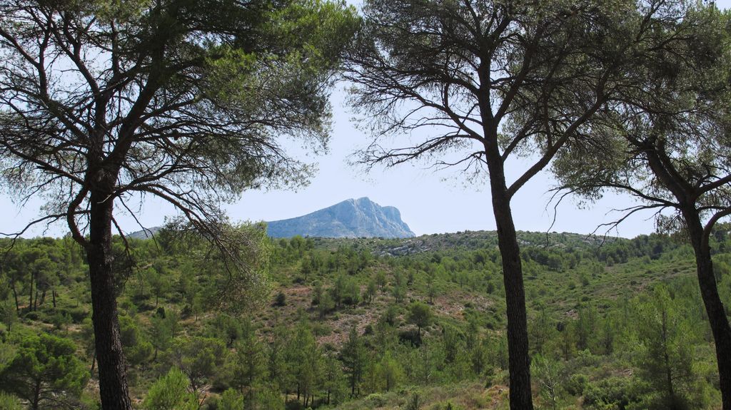 On the path between the Barrage Bimont and the Barrage Zola, on the side of the St Victoire