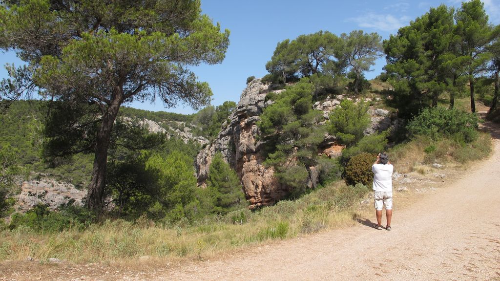 On the path between the Barrage Bimont and the Barrage Zola, on the side of the St Victoire