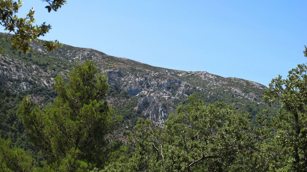 In the forext around Vauvenargues, nearby Aix-en-Provence