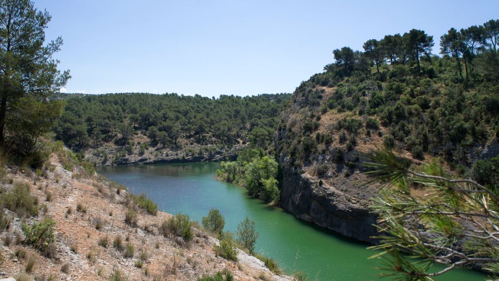 Forest on the St. Victoire by Le Tholonet, nearby Aix-en-Provence