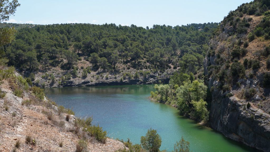 Forest on the St. Victoire by Le Tholonet, nearby Aix-en-Provence