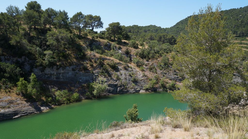 Forest on the St. Victoire by Le Tholonet, nearby Aix-en-Provence