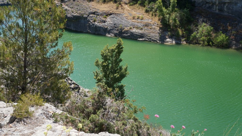 Forest on the St. Victoire by Le Tholonet, nearby Aix-en-Provence