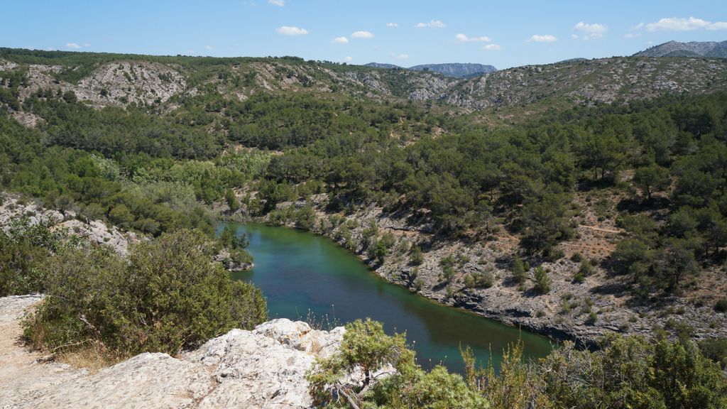 Forest on the St. Victoire by Le Tholonet, nearby Aix-en-Provence