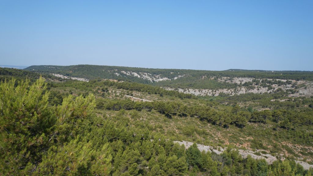 On the path between the Barrage Bimont and le Tholonet, on the side of the St Victoire