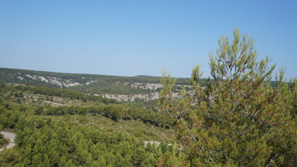 On the path between the Barrage Bimont and le Tholonet, on the side of the St Victoire