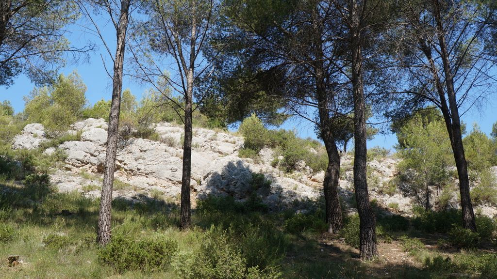 On the path between the Barrage Bimont and le Tholonet, on the side of the St Victoire