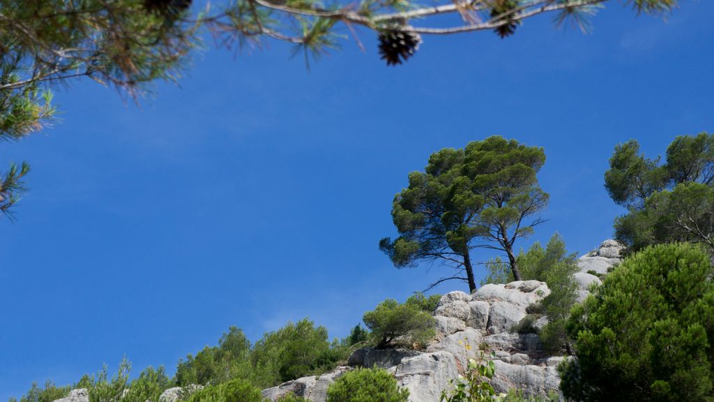 In the forest around the St. Victoire, Aix-en-Provence