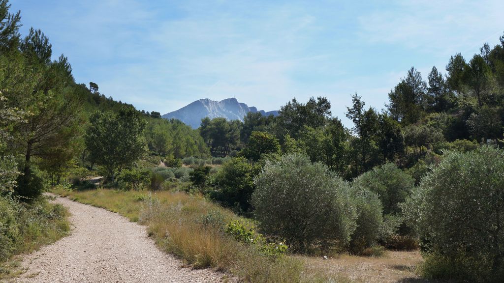 In the forest around the St. Victoire, Aix-en-Provence